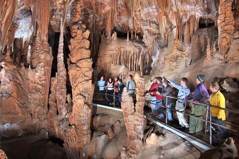 Private Tour: Jenolan Caves & Blue Mountains In A Day - Newcastle Accommodation 0
