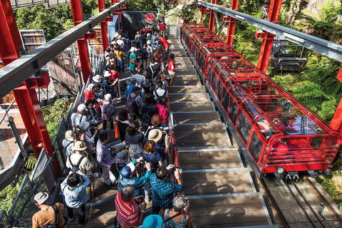 Private Guided Tour: Blue Mountains Tour From Sydney - Newcastle Accommodation 1