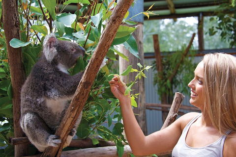 Private Guided Tour: Blue Mountains Tour From Sydney - Newcastle Accommodation 5