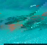 Private Tangalooma Wrecks Tour - Newcastle Accommodation