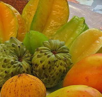 Private Half Day Tour Exclusive World Heritage Rainforest and Waterfall Tour from Cairns