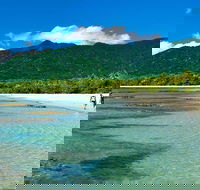5-Day Best of Cairns with Daintree Kuranda and Great Barrier Reef - Newcastle Accommodation