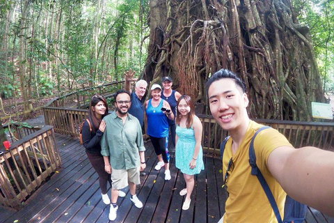 Cairns 4WD Waterfall And Rainforest Tour Including Kuranda Scenic Railway - Newcastle Accommodation 0