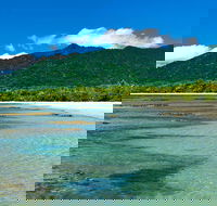 8-Day Cairns Tour Great Barrier Reef Kuranda Daintree Rainforest - New Castle Tourism