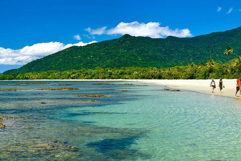 8-Day Cairns Tour: Great Barrier Reef, Kuranda, Daintree Rainforest - New Castle Tourism 0