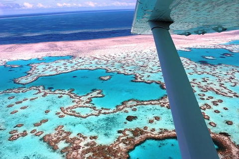 8-Day Cairns Tour: Great Barrier Reef, Kuranda, Daintree Rainforest - New Castle Tourism 2