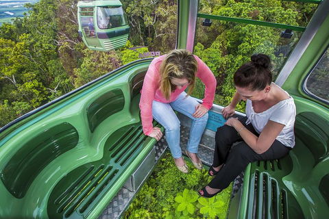 8-Day Cairns Tour: Great Barrier Reef, Kuranda, Daintree Rainforest - New Castle Tourism 3
