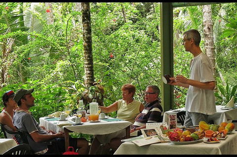 8-Day Cairns Tour: Great Barrier Reef, Kuranda, Daintree Rainforest - New Castle Tourism 4
