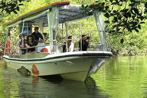 8-Day Cairns Tour: Great Barrier Reef, Kuranda, Daintree Rainforest - New Castle Tourism 5