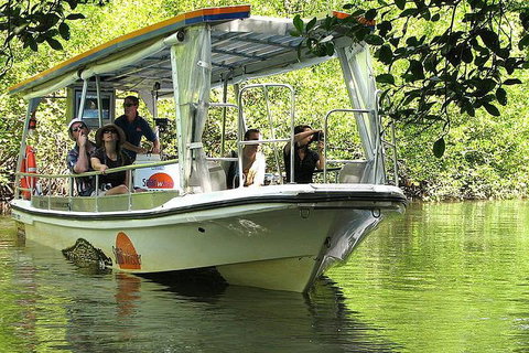 3-Day Best Of Cairns Combo: The Daintree Rainforest, Great Barrier Reef, And Kuranda - Newcastle Accommodation 4