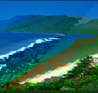 Cairns Reef and Rainforest Combo Daintree Rainforest and the Great Barrier Reef - Newcastle Accommodation