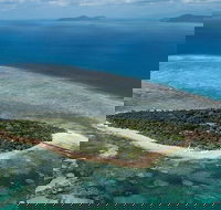 4-Day Cairns with Great Barrier Reef and Daintree Rainforest - New Castle Tourism