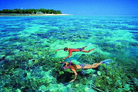 4-Day Cairns With Great Barrier Reef And Daintree Rainforest - New Castle Tourism 2