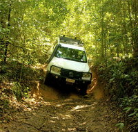 Cairns National Park Rainforest and Waterfall Small Group Tour Shore Excursion