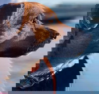 1.5-Hour Boat Rental in Melbourne - New Castle Tourism