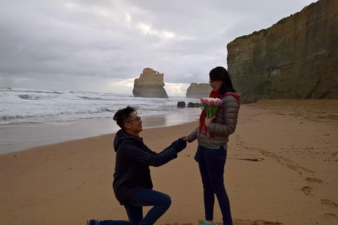 Private Express Experience - 12 Apostles - New Castle Tourism 2