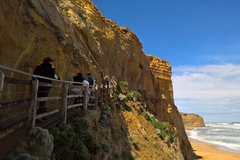 Private Express Experience - 12 Apostles - New Castle Tourism 3