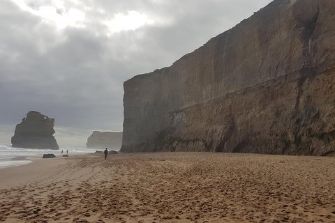 Private Express Experience - 12 Apostles - New Castle Tourism 4