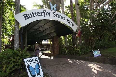Kuranda Day Trip From Port Douglas Upgrade To Skyrail & Scenic Train Available - Newcastle Accommodation 0