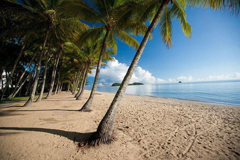 Kuranda Day Trip From Port Douglas Upgrade To Skyrail & Scenic Train Available - Newcastle Accommodation 1