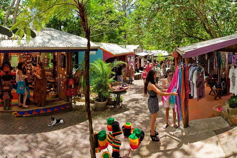 Kuranda Day Trip From Port Douglas Upgrade To Skyrail & Scenic Train Available - Newcastle Accommodation 2