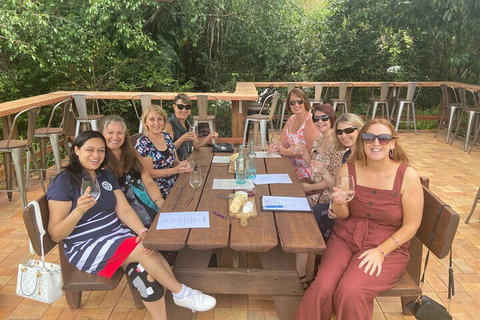 Mt Tamborine ScenicRim Deluxe Wine Tasting And Sightseeeing Tour - Newcastle Accommodation 2
