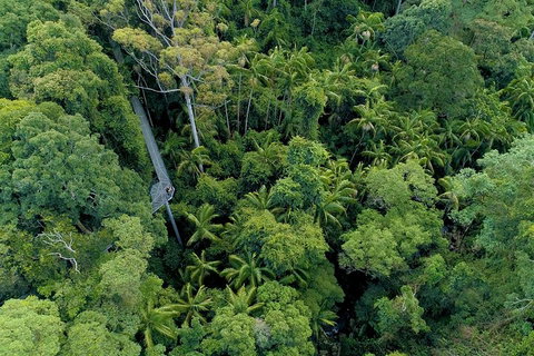 Natural Bridge, Skywalk And Mt Tamborine Adventure! - Newcastle Accommodation 2