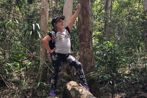 Natural Bridge, Skywalk And Mt Tamborine Adventure! - Newcastle Accommodation 3