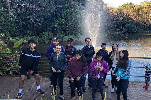 Natural Bridge, Skywalk And Mt Tamborine Adventure! - Newcastle Accommodation 4