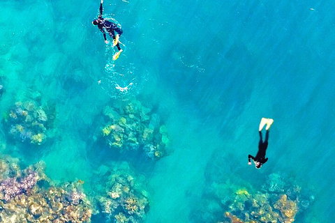 Fly & Cruise - Seaplane Package - Newcastle Accommodation 1