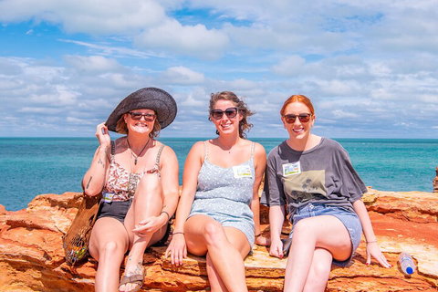Broome Panoramic Town Tour - All The Extraordinary Sights And History Of Broome - Newcastle Accommodation 5