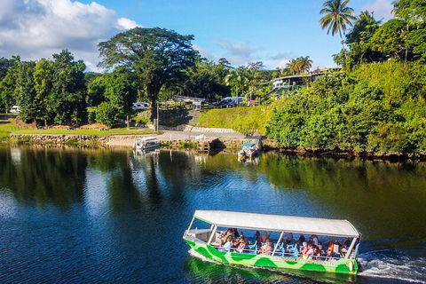 Afternoon Half-Day Daintree Rainforest And River Tour - Newcastle Accommodation 1