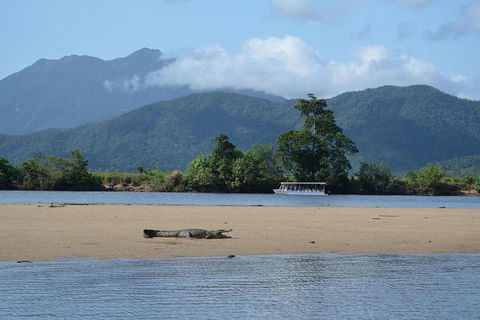Afternoon Half-Day Daintree Rainforest And River Tour - Newcastle Accommodation 2