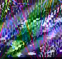 Infinity Attraction - Admission