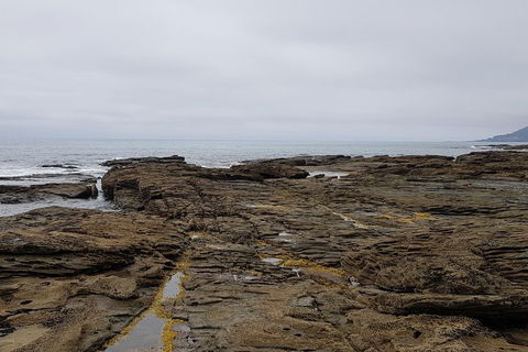 Luxury Private Great Ocean Road Tour Up To 11 People - Entire Vehicle - New Castle Tourism 1