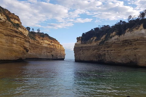 Luxury Private Great Ocean Road Tour Up To 11 People - Entire Vehicle - New Castle Tourism 2