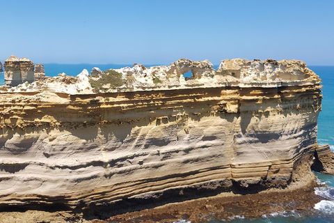 Luxury Private Great Ocean Road Tour Up To 11 People - Entire Vehicle - New Castle Tourism 4
