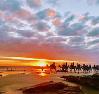 1 Hour Broome Sunset Camel Tour