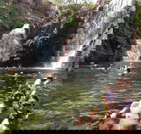 Litchfield National Park and Jumping Crocodile Cruise - Newcastle Accommodation