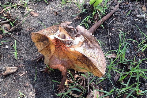 Litchfield National Park And Jumping Crocodile Cruise - Newcastle Accommodation 1