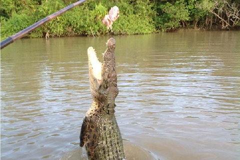 Litchfield National Park And Jumping Crocodile Cruise - Newcastle Accommodation 2