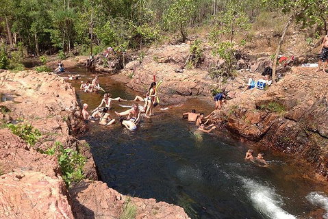 Litchfield National Park And Jumping Crocodile Cruise - Newcastle Accommodation 5