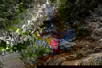 5-Day Lap of Tasmania Tour from Hobart flexible ticket