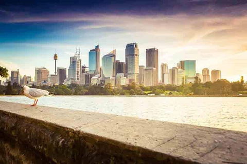 Private Sydney City And Bondi Beach Half Day Tour - Newcastle Accommodation 2