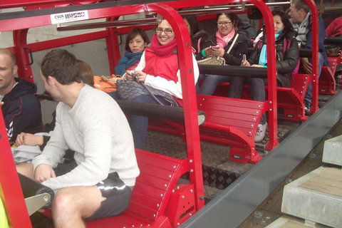 Full-Day Private Blue Mountains Tour With River Cruise - New Castle Tourism 0