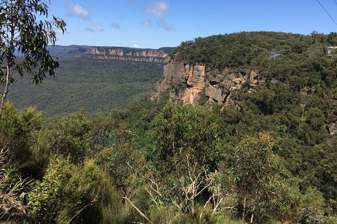 Full-Day Private Blue Mountains Tour With River Cruise - New Castle Tourism 1