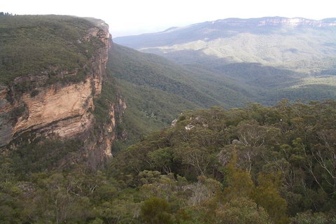Full-Day Private Blue Mountains Tour With River Cruise - New Castle Tourism 3