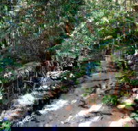 Fraser Island 4WD Tour from Rainbow Beach - New Castle Tourism