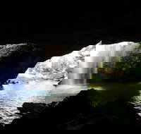 Rainforest  Waterfalls Extravaganza