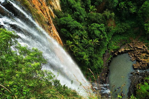 Natural Arch, Rainforest & Volcano Canyon - Private Half Day Tour - Newcastle Accommodation 5